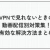 VPN 見れない